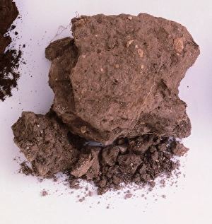 <b class=qtipBold><figcaption>Sample of chalk soil</figcaption></b><br><em>© Dorling Kindersley/UIG</em> Sample of chalk soil