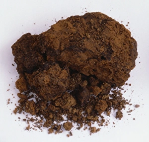 <b class=qtipBold><figcaption>Sample of clay soil</figcaption></b><br><em>© Dorling Kindersley/UIG</em> Sample of clay soil