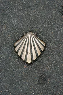 Images Dated 18th May 2003: Santiago trail scallop shell sign