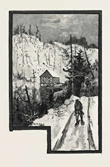 A SAWMILL IN THE BACKWOODS. Forestry, lumbermill, lumbermills, mill, mills A SAWMILL IN THE BACKWOODS. Forestry, lumbermill, lumbermills, mill, mills