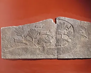 Scene of Ashurbanipal hunting with deers trapped in the net, Relief from Royal Palaces of Nineveh, circa 645 B.C Scene of Ashurbanipal hunting with deers trapped in the net, Relief from Royal Palaces of Nineveh, circa 645 B.C