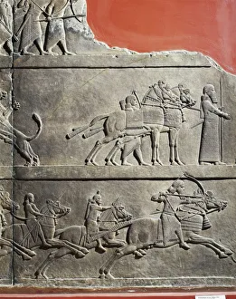 Scene of Ashurbanipal hunting with his squires, Relief from Royal Palaces of Nineveh, circa 645 B.C Scene of Ashurbanipal hunting with his squires, Relief from Royal Palaces of Nineveh, circa 645 B.C