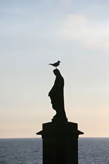 Statue Gallery: Sea gull on a statue of the Virgin Mary