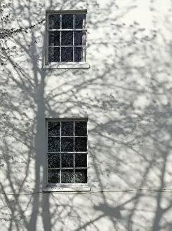 Shadows in Springtime, Oxford