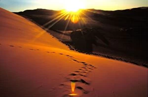 Swakopmund Collection: Sossusvlei dunes in the Namib desert, Swakopmund, Namibia