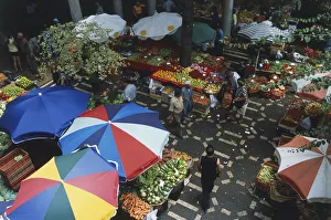 Southwestern Europe, Portugal, Madeira Islands, Funchal, Mercado dos Lavradores Southwestern Europe, Portugal, Madeira Islands, Funchal, Mercado dos Lavradores