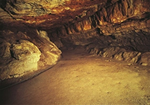 Spain, Cantabria, Santander surroundings, Altamira Cave, Upper Paleolithic cave paintings Spain, Cantabria, Santander surroundings, Altamira Cave, Upper Paleolithic cave paintings