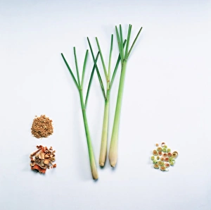 <b class=qtipBold><figcaption>Stems with spear-shaped leaves</figcaption></b><br><em>© Dorling Kindersley/UIG</em> Stems with spear-shaped leaves