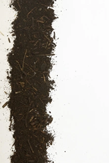 <b class=qtipBold><figcaption>Strip of compost mixture</figcaption></b><br><em>© Dorling Kindersley/UIG</em> Strip of compost mixture
