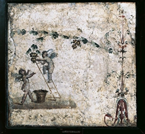 Third style fresco depicting Cupids harvesting, from House of Marcus Lucretius at Pompeii Third style fresco depicting Cupids harvesting, from House of Marcus Lucretius at Pompeii