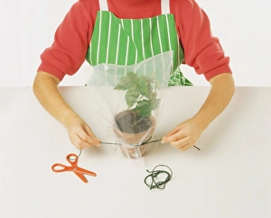 Tie plastic bag in place with a priece of string Tie plastic bag in place with a priece of string