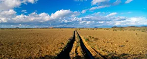 These are tire tracks that have created a dirt road. It runs through a barren desert These are tire tracks that have created a dirt road. It runs through a barren desert