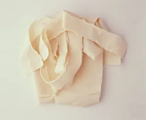 <b class=qtipBold><figcaption>Torn shreds of material</figcaption></b><br>Torn shreds of material.<br><em>© Dorling Kindersley/UIG</em> Torn shreds of material