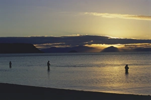 Trout fishing at sunset at the mouth of the Waitahanui River, North Island, New Zealand Trout fishing at sunset at the mouth of the Waitahanui River, North Island, New Zealand