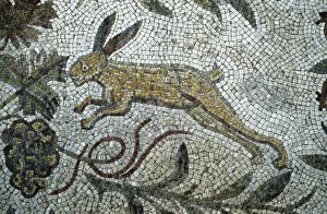 Tunisia, Carthage, Roman mosaic, rabbit Tunisia, Carthage, Roman mosaic, rabbit