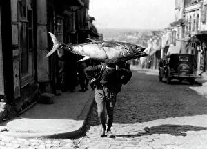 Images Dated 30th January 2008: A Turkish Fisherman Returns With His Booty. 1920-30