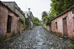 Colonia Del Sacramento Gallery: Uruguay, Colonia del Sacramento, Calle de los Suspiros, cobbled street