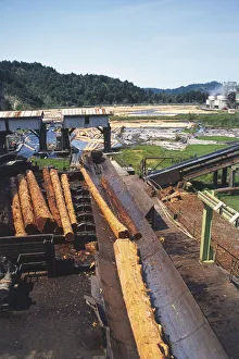 USA, California, stacked redwood lumber being moved onto conveyor belt in outdoor area of USA, California, stacked redwood lumber being moved onto conveyor belt in outdoor area of