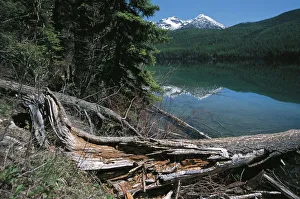 Waterton Glacier International Peace Park Waterton Glacier International Peace Park