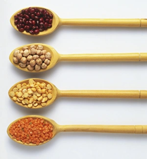 Four varieties of dried pulses presented on wooden spoons, aduki beans, chickpeas, split peas, lentils, close up Four varieties of dried pulses presented on wooden spoons, aduki beans, chickpeas, split peas, lentils, close up