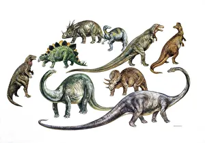 <b class=qtipBold><figcaption>Various dinosaurs, illustration</figcaption></b><br>Various dinosaurs, illustration Prehistory And Protohistory, Prehistoric Animals<br><em>© DEA PICTURE LIBRARY</em> Various dinosaurs, illustration