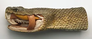 Side view of model of Timber Rattlesnake head with nostril-like heat-sensitive pit Side view of model of Timber Rattlesnake head with nostril-like heat-sensitive pit
