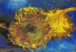 Vincent van Goghs Sunflowers 1887 A.D