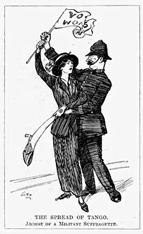 Images Dated 1st January 1913: Votes for Women