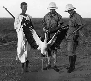 Wader. El Gorum. Somalia. Africa