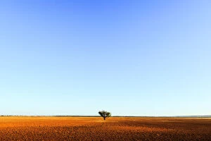 Paddock Gallery: Adelaide Plains, alone, Australia, Australian, blue sky, earth. soil, flat, Getty Images