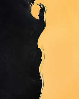 Aerial Views Gallery: Aerial view of a black beach and unusual coloured water, Iceland