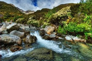 Images Dated 26th February 2011: Arthurs Pass Temple Basin South Island New Zealand