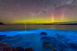 Aurora Australis or Southern Lights in the sky over spectacular blue bioluminescence in Aurora Australis or Southern Lights in the sky over spectacular blue bioluminescence in