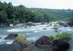 Images Dated 28th February 2007: Australia, Queensland, Tully River and rainforest (long exposure)