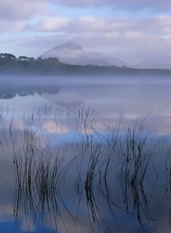 Australia, Tasmania, Bathurst Harbour and Mt. Rugby at dawn Australia, Tasmania, Bathurst Harbour and Mt. Rugby at dawn