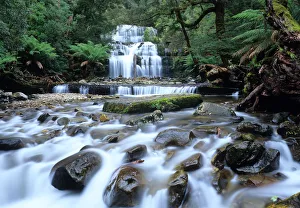 Australia, Tasmania, Great Western Tiers, Liffey Falls Australia, Tasmania, Great Western Tiers, Liffey Falls