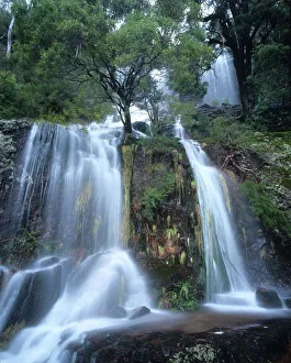 Australia, Victoria, Upper Dandongadale Falls below Mt. Cobbler Australia, Victoria, Upper Dandongadale Falls below Mt. Cobbler