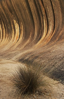 Wave Rock Art Prints, Posters & Puzzles