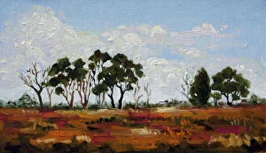 Images Dated 14th May 2012: Australian Landscape Oil Painting