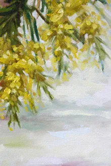 Australian Native Wattle Flowers Oil Painting Australian Native Wattle Flowers Oil Painting