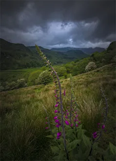 Beddgelert Valley, northern Wales, United kingdom Beddgelert Valley, northern Wales, United kingdom