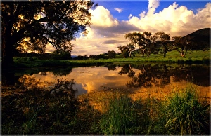 A billabong near the Murray river at Corryong, Northern Victoria A billabong near the Murray river at Corryong, Northern Victoria