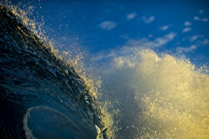 Blue and gold Blue and gold