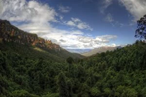 Images Dated 27th August 2014: Blue Mountains rainforest and three sisters rock