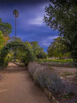 Botanical gardens in Autumn, in the town of St. Arnaud, the Wimmera district of Victoria Botanical gardens in Autumn, in the town of St. Arnaud, the Wimmera district of Victoria