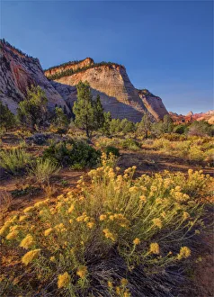 Chequerboard Mesa Zion national Park in south western United States Chequerboard Mesa Zion national Park in south western United States
