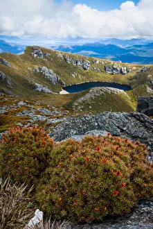 Cirque lake and heath, Western Arthurs, Tasmania Cirque lake and heath, Western Arthurs, Tasmania