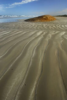 Coastal landscape, Coorong National Park, South Australia, Australia