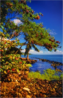 Coastline on The Island of Upolu, Western Samoa Coastline on The Island of Upolu, Western Samoa