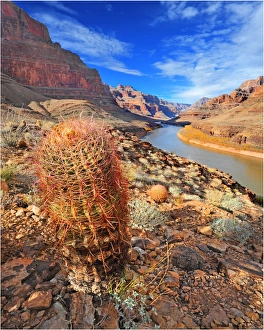 The Colorado river, Arizona, United States of America The Colorado river, Arizona, United States of America